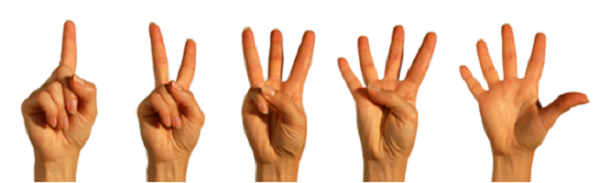 A hand with four fingers is showing the number 4.