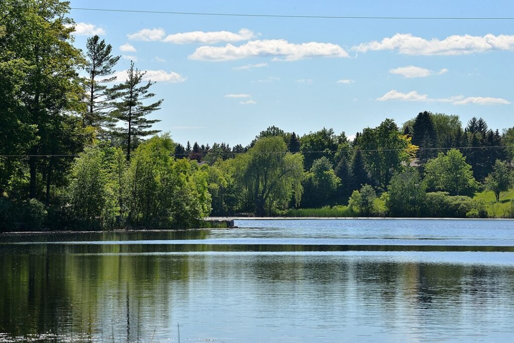 A body of water with trees in the background.